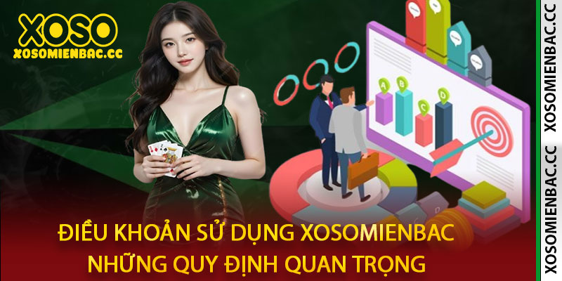 Điều Khoản Sử Dụng