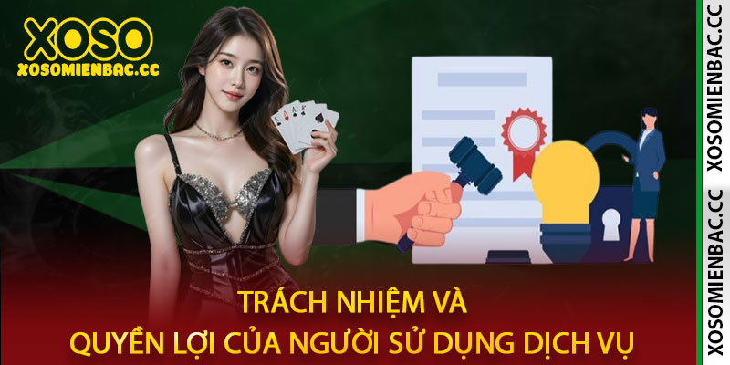 Điều khoản sử dụng