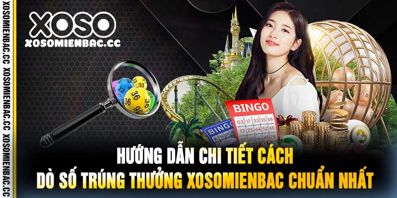 Hướng Dẫn Chi Tiết Cách Dò Số Trúng Thưởng Xosomienbac Chuẩn Nhất