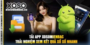 Tải App xosomienbac Trải Nghiệm Xem Kết Quả Xổ Số Nhanh